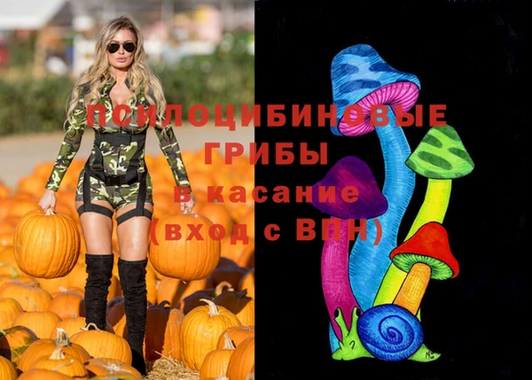 МДПВ Верея