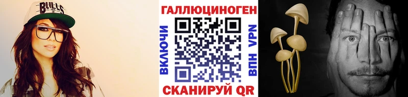 Псилоцибиновые грибы Psilocybine cubensis  Избербаш 